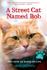 Image of A Streed Cat Named Bob