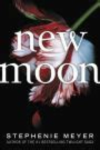Image of New Moon