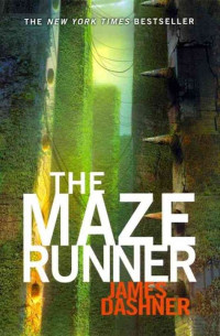 Image of The Maze Runner