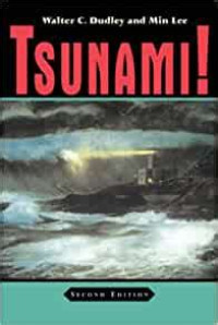Image of Tsunami